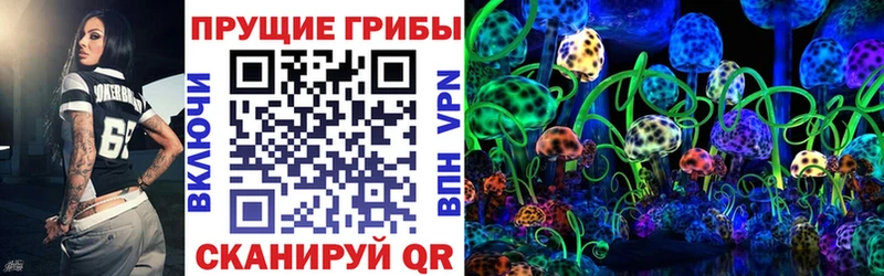 Псилоцибиновые грибы Cubensis  Новочеркасск 