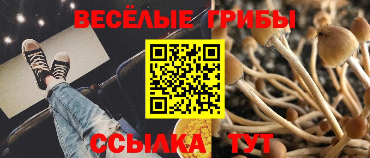 Новочеркасск  Псилоцибиновые грибы GOLDEN TEACHER  Вход с VPN 