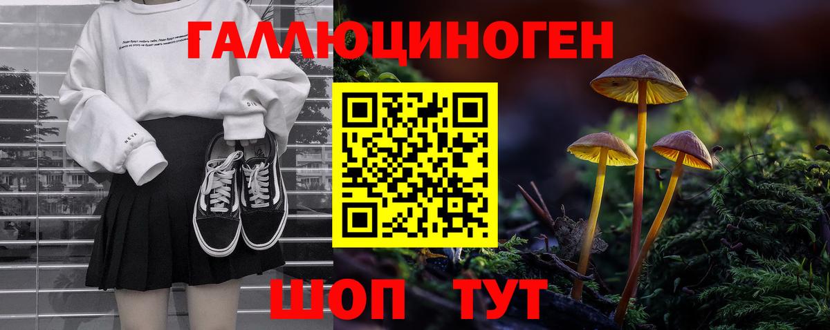 Галлюциногенные грибы прущие грибы Новочеркасск