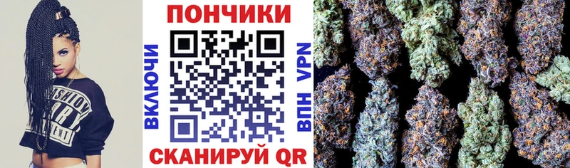Бошки Шишки SATIVA & INDICA  OMG зеркало  Новочеркасск 